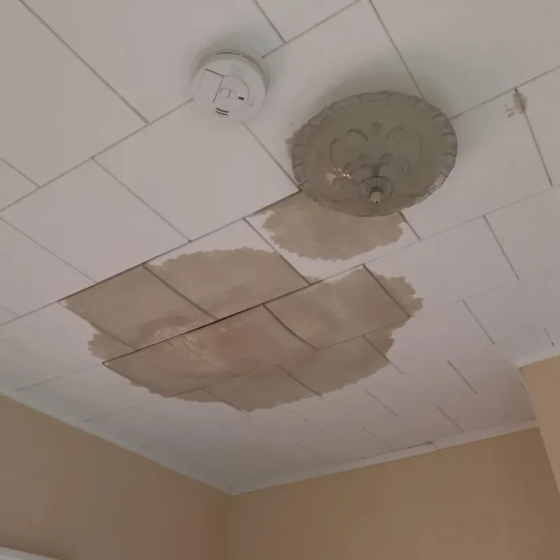 Ceiling Water Damage Repair in Village Saint George, LA